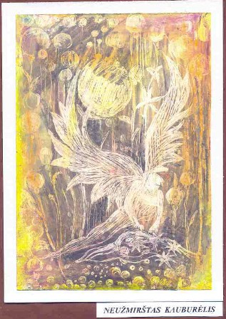 Jau_atvaziuoja_Kaleda_02