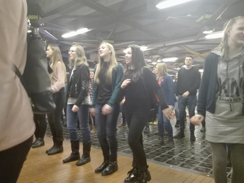 28233095_1460019320792661_1073936829_n