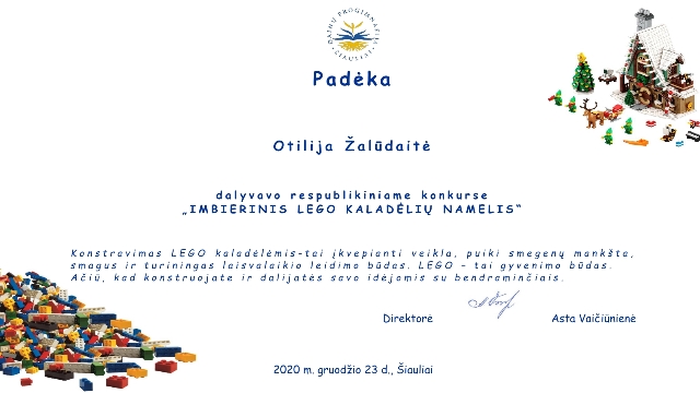 Otilija_Zaludaite_1