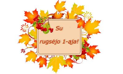 rugsejis